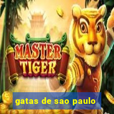 gatas de sao paulo